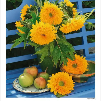 Korsch Verlag Droombloemen Kalender 2027