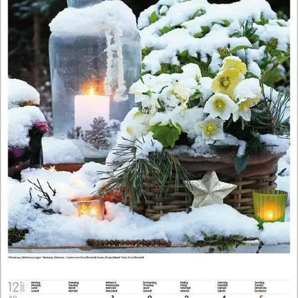 Korsch Verlag Droomtuinen Kalender 2027