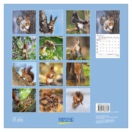 Korsch Verlag Eekhoorn Kalender 2026
