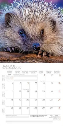 Korsch Verlag Egel Kalender 2027