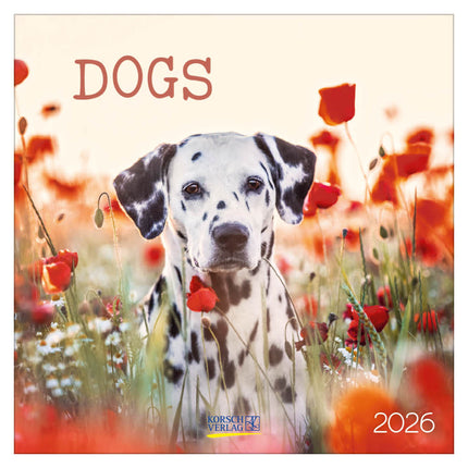 Korsch Verlag Honden Kalender 2026
