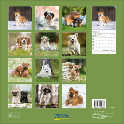 Korsch Verlag Honden Kalender 2027