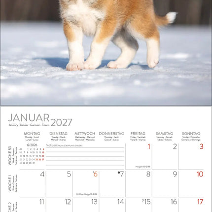 Korsch Verlag Honden Kalender 2027