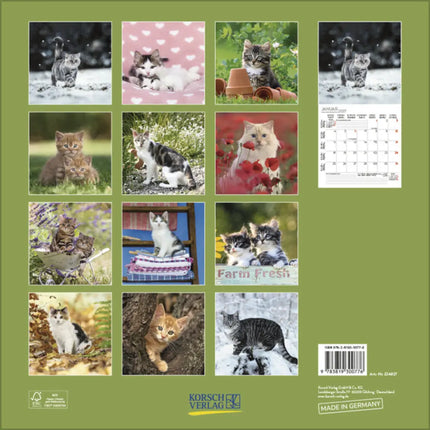 Korsch Verlag Katten Kalender 2027