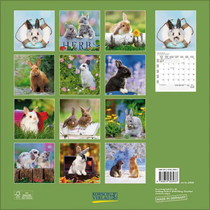 Korsch Verlag Konijnen Kalender 2027