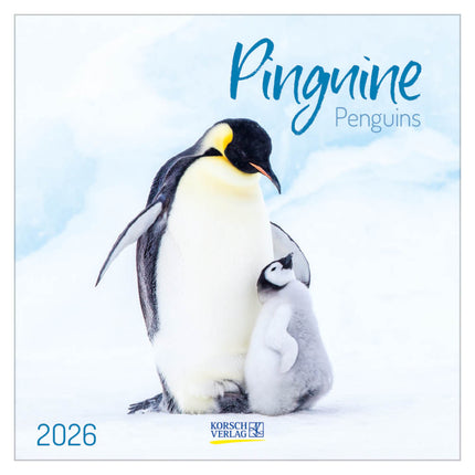 Korsch Verlag Pinguïns Kalender 2025