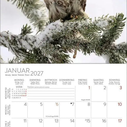 Korsch Verlag Uilen Kalender 2027