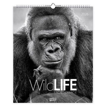 Korsch Verlag Wildlife face to Face Kalender 2027