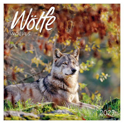 Korsch Verlag Wolven Kalender 2027