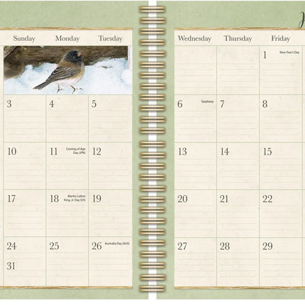 LANG Birds in the Garden Agenda 2027