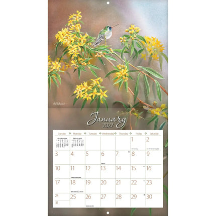 LANG Hummingbirds Kalender 2027