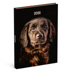 Zwarte Pup