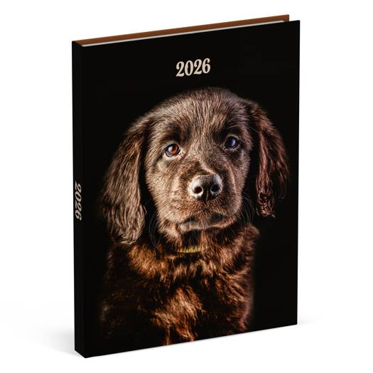 Lannoo Honden Desk Agenda 2026