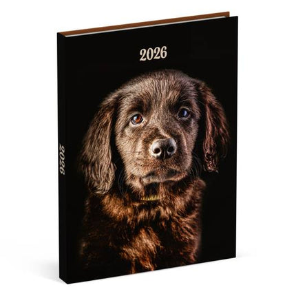 Lannoo Honden Desk Agenda 2026