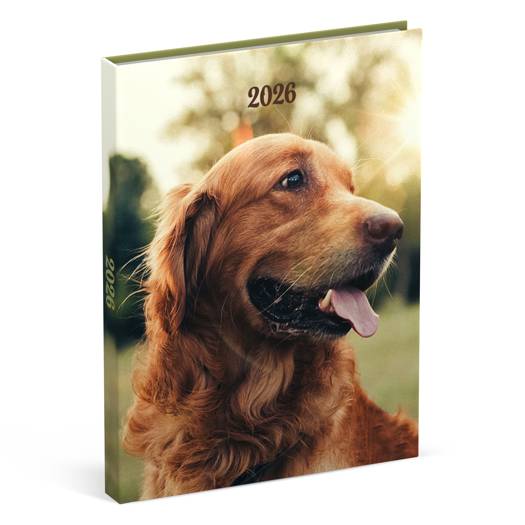 Lannoo Honden Desk Agenda 2026