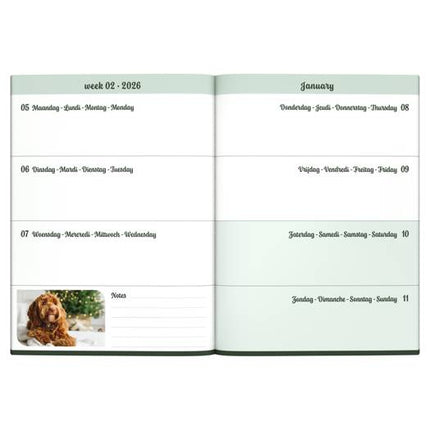 Lannoo Honden Desk Agenda 2026
