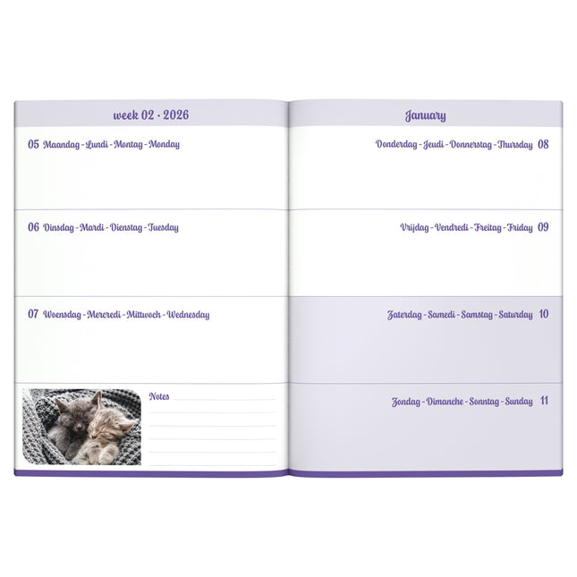 Lannoo Katten Desk Agenda 2026