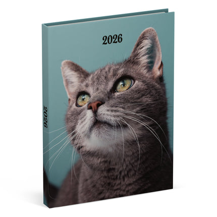 Lannoo Katten Desk Agenda 2026