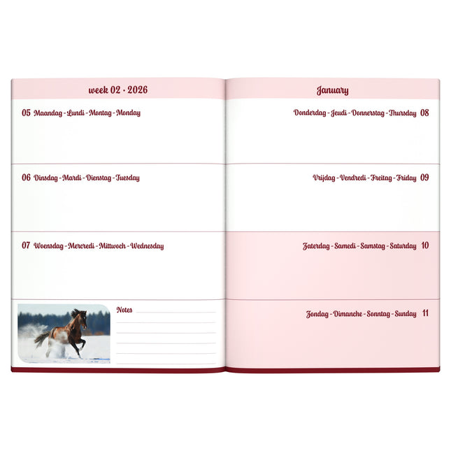 Lannoo Paarden Desk Agenda 2026