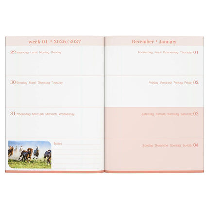 Lannoo Paarden Desk Agenda 2027