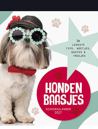 Lantaarn Hondenbaasjes Scheurkalender 2027