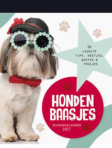 Lantaarn Hondenbaasjes Scheurkalender 2027