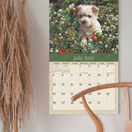Legacy Puppies Kalender 2026