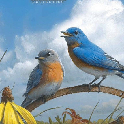 Legacy Songbirds Verjaardagskalender