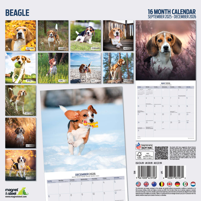 Magnet & Steel Beagle Kalender 2026