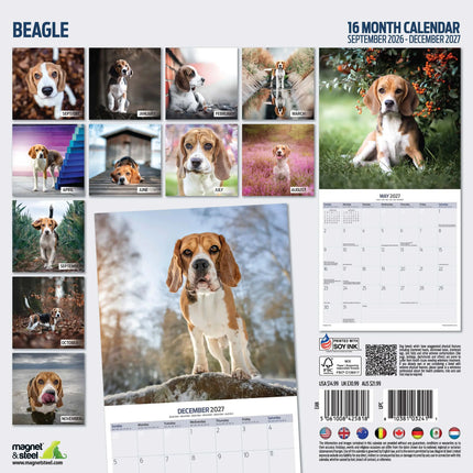 Magnet & Steel Beagle Kalender 2027