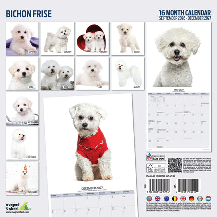 Magnet & Steel Bichon Frise Kalender 2026 Modern