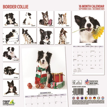 Magnet & Steel Border Collie Kalender 2025 Modern