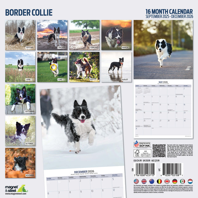 Magnet & Steel Border Collie Kalender 2026