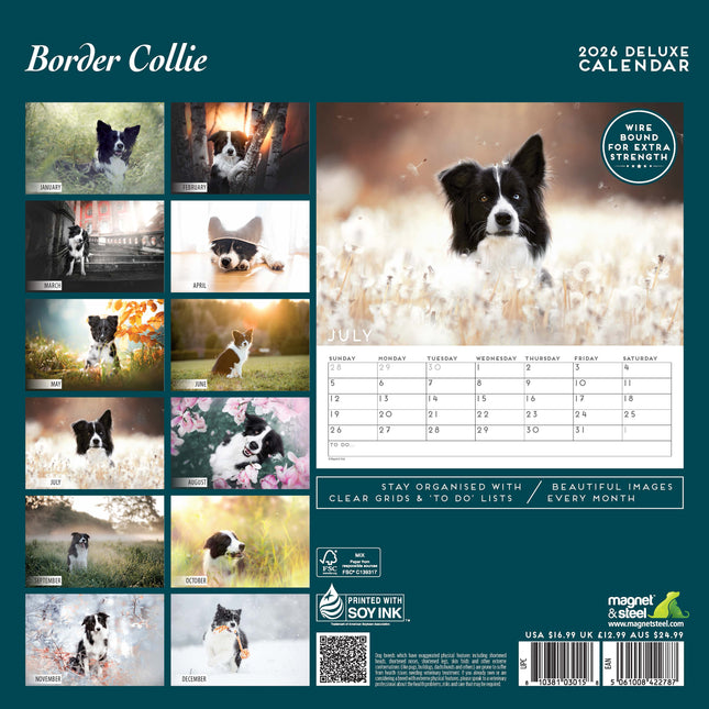 Magnet & Steel Border Collie Kalender 2026 Deluxe