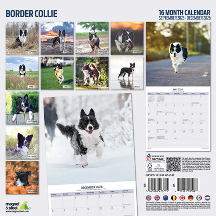 Magnet & Steel Border Collie Kalender 2027