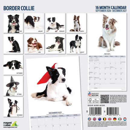Magnet & Steel Border Collie Modern Kalender 2027