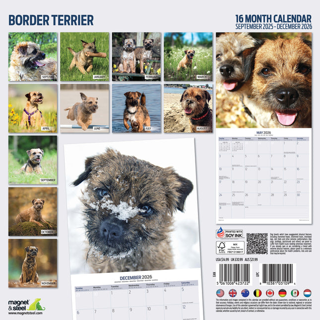 Magnet & Steel Border Terrier Kalender 2026