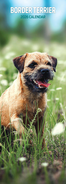 Magnet & Steel Border Terrier Kalender 2026 Slimline