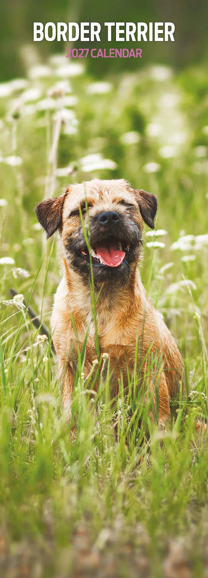 Magnet & Steel Border Terrier Kalender 2027 Slimline