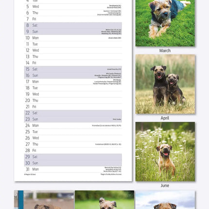Magnet & Steel Border Terrier Kalender 2027 Slimline