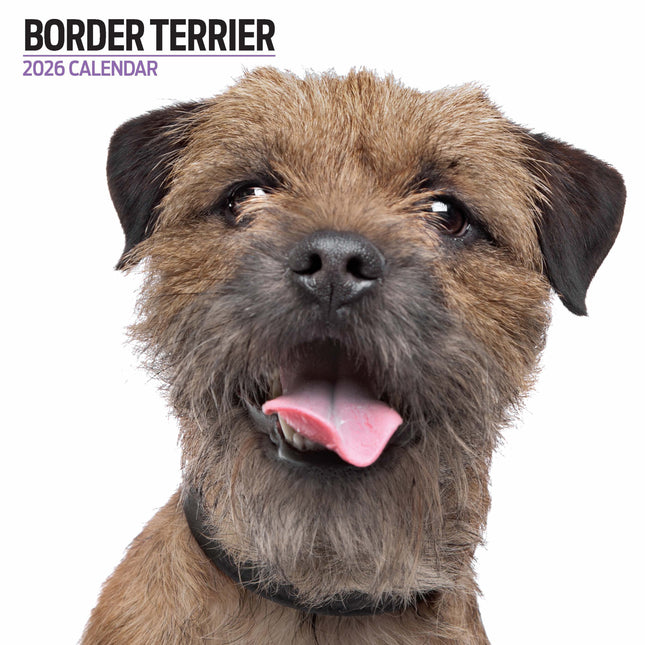 Magnet & Steel Border Terrier Modern Kalender 2026