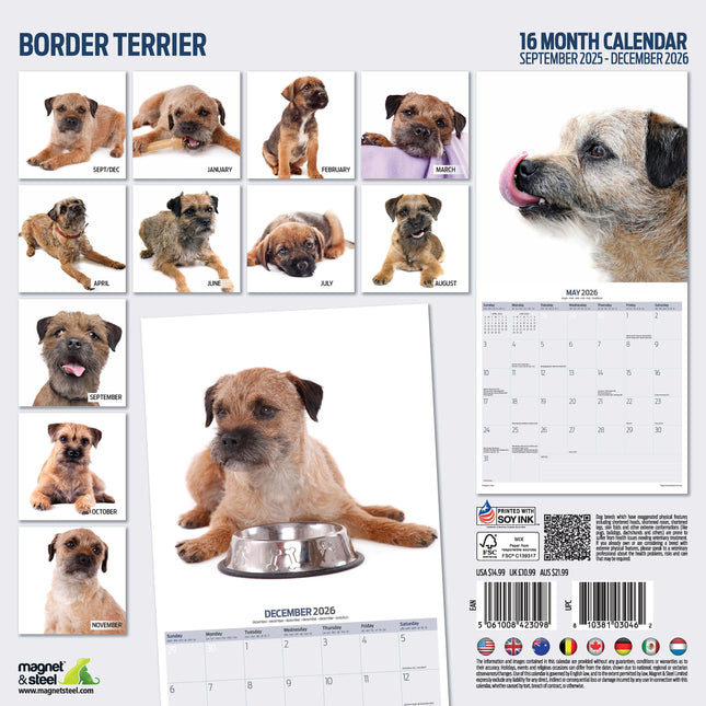 Magnet & Steel Border Terrier Modern Kalender 2026