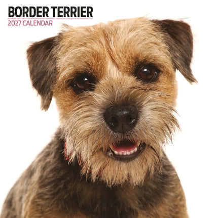 Magnet & Steel Border Terrier Modern Kalender 2026
