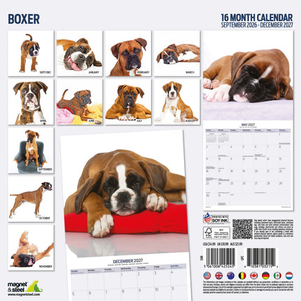 Magnet & Steel Boxer Modern Kalender 2027