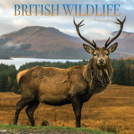 Magnet & Steel British Wildlife Kalender 2027