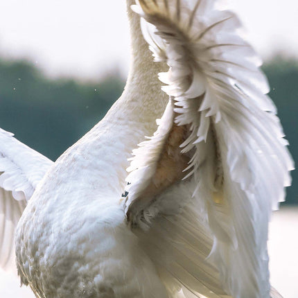 Magnet & Steel British Wildlife Kalender 2027 Slimline