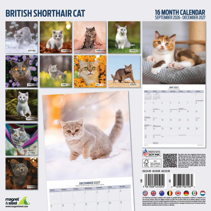 Magnet & Steel Brits Korthaar Kalender 2027