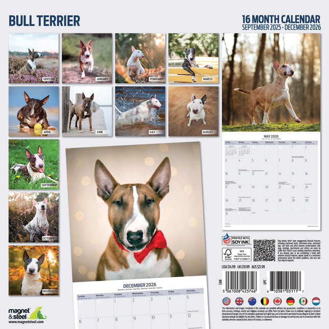Magnet & Steel Bull Terrier Kalender 2026