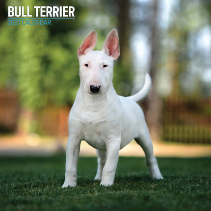 Magnet & Steel Bull Terrier Kalender 2027