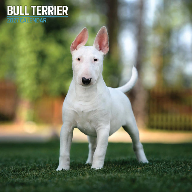 Magnet & Steel Bull Terrier Kalender 2027
